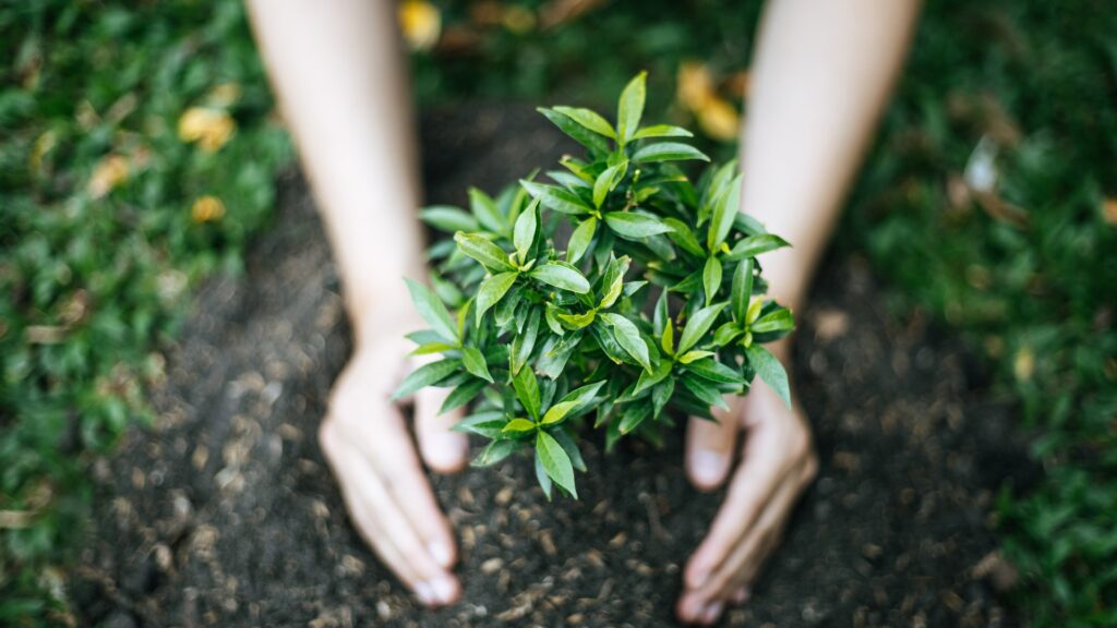 semaine européenne du développement durable