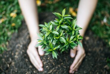 semaine européenne du développement durable